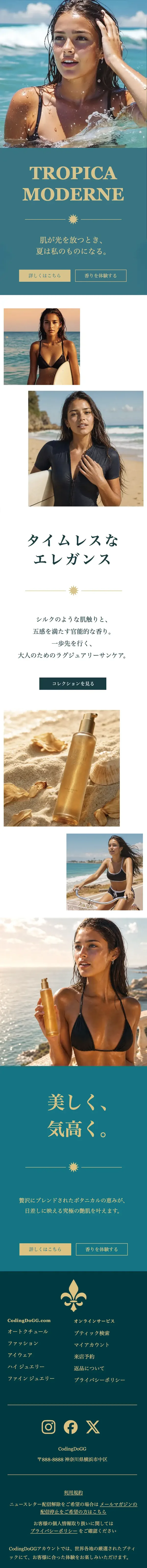 Sample HTML newsletter you can build (luxury brand story)